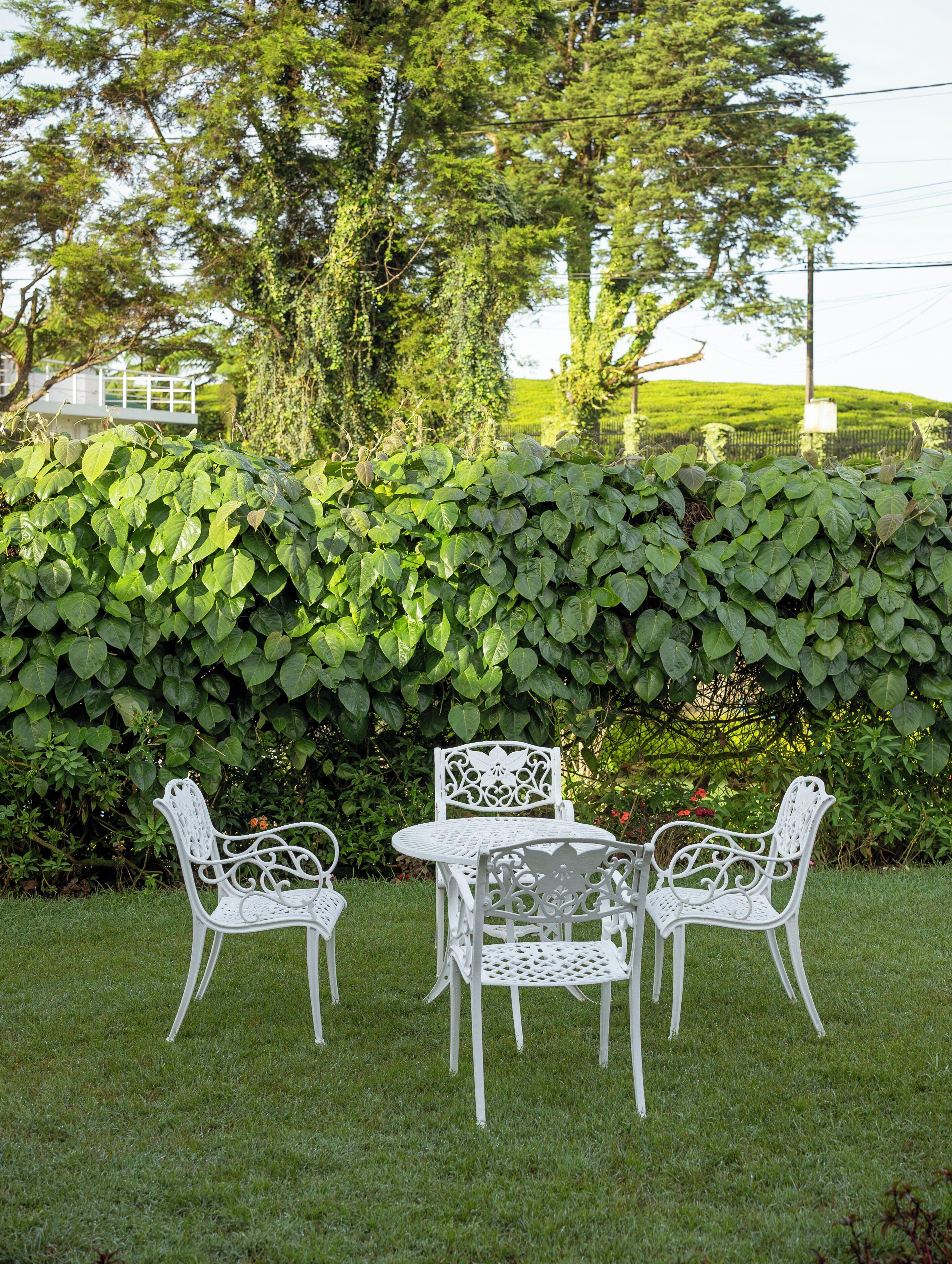 Inn Cloud Nine Retreat Nuwara Eliya