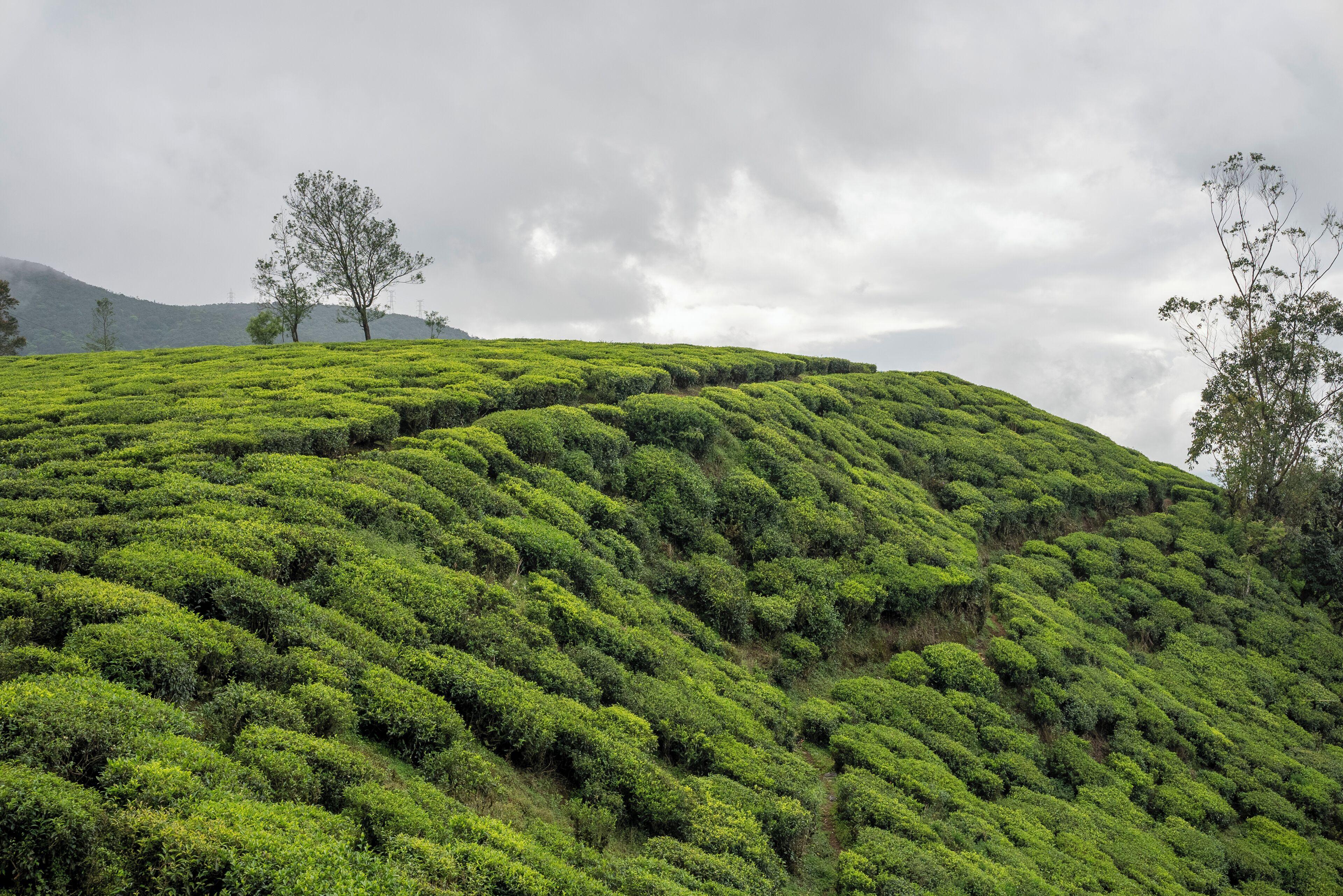 Inn Cloud Nine Retreat