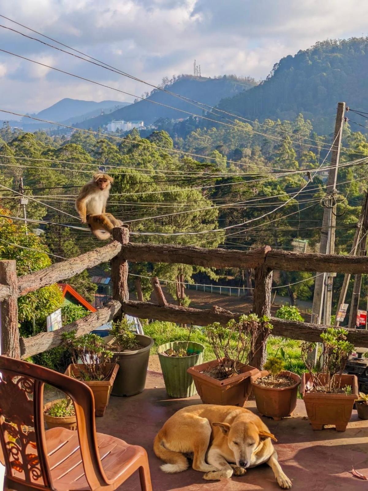 Travellers Nest Nuwara Eliya