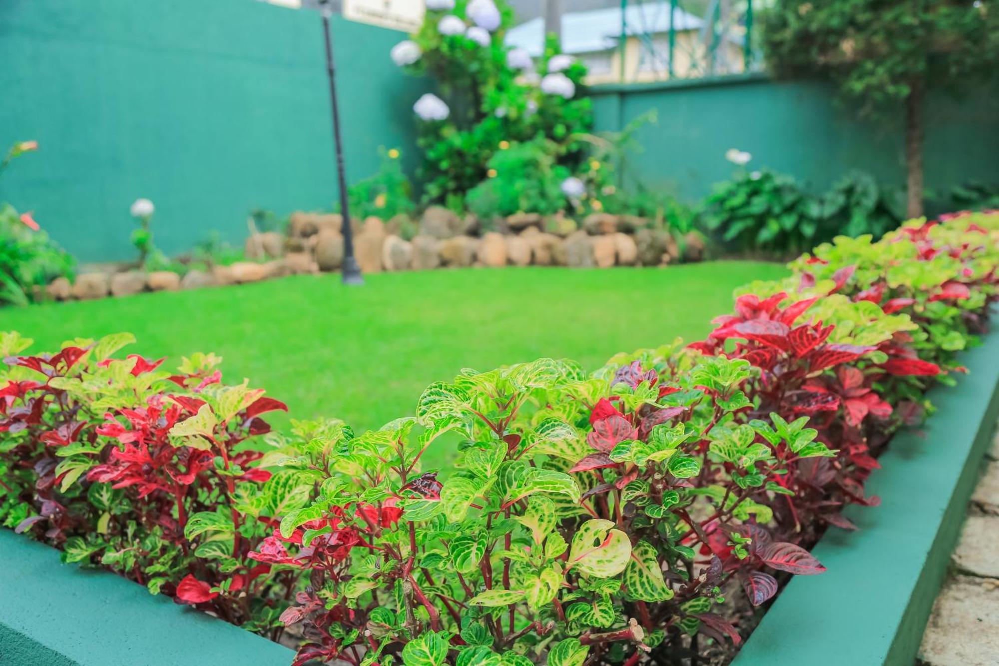 Grace Guest house Nuwara Eliya