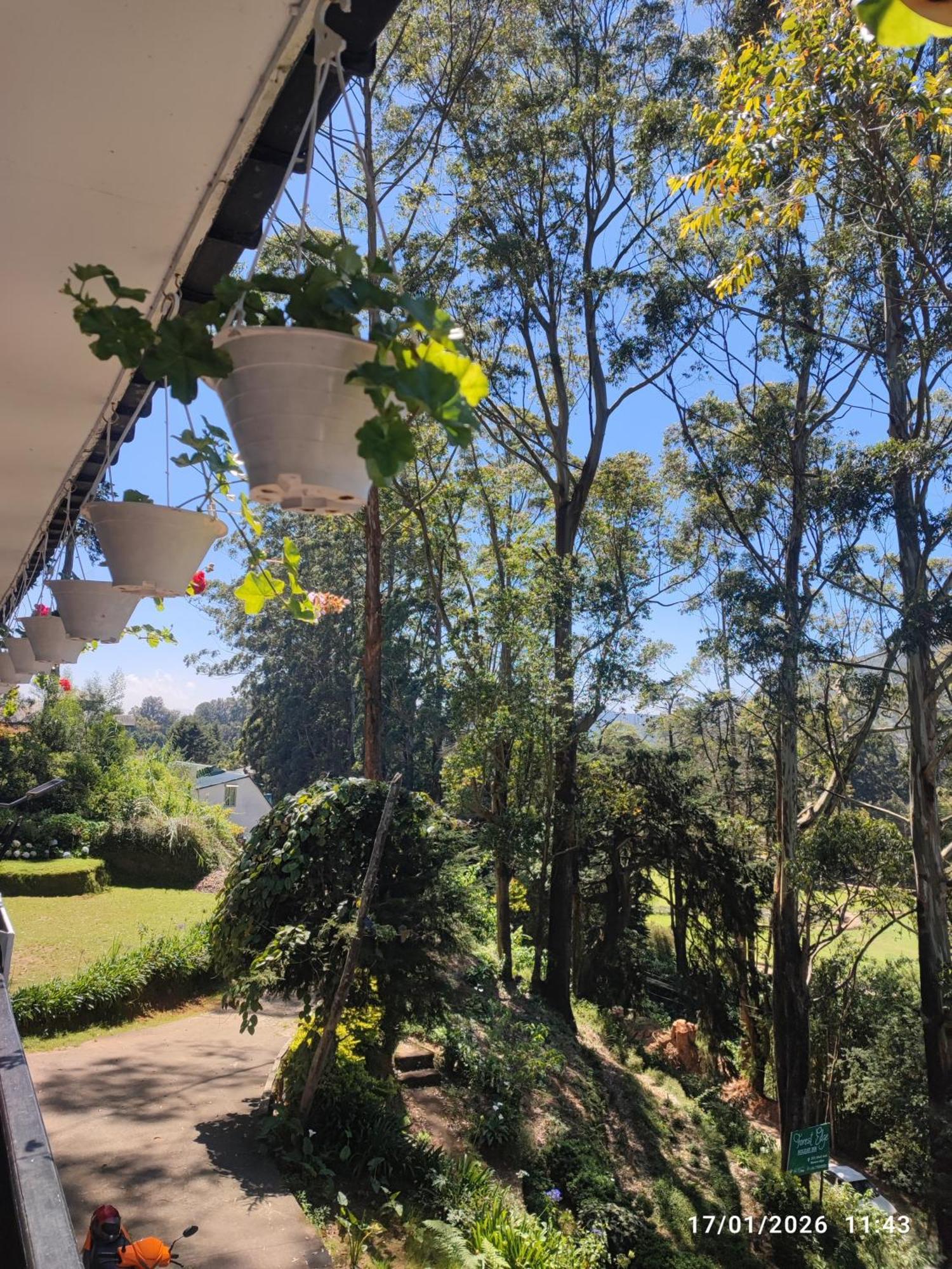 Hotel Forest Edge Nuwara Eliya