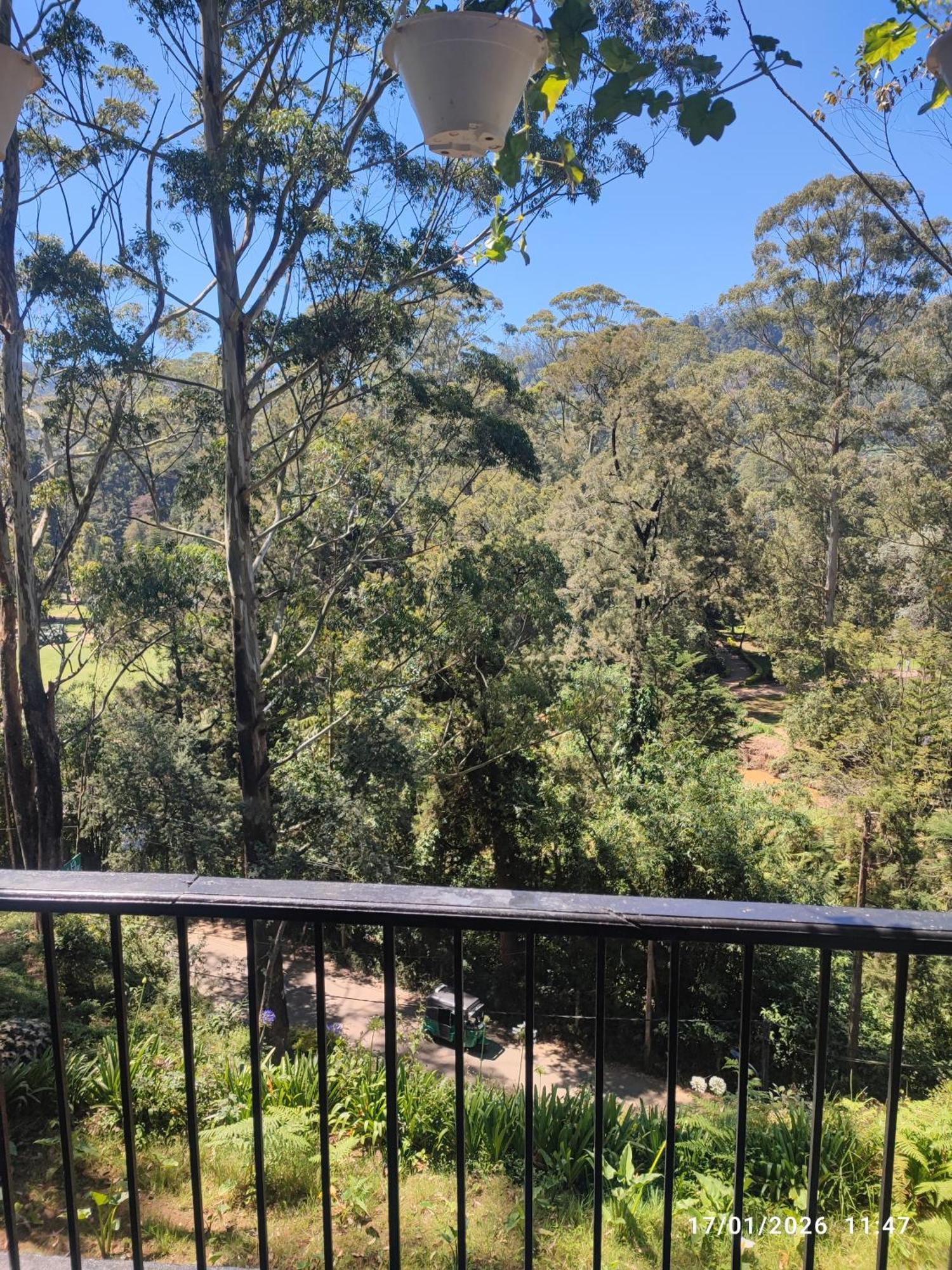 Forest Edge * Nuwara Eliya