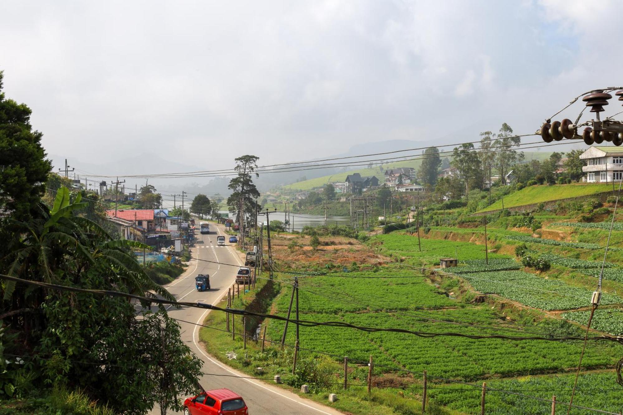 Athena Bed & Breakfast