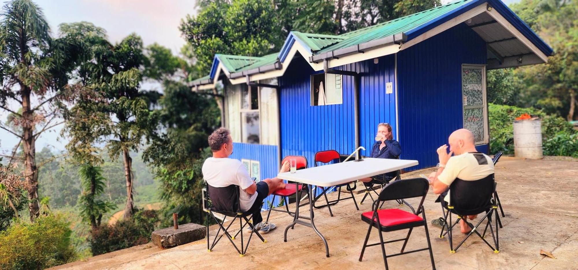 Kithul * Nuwara Eliya