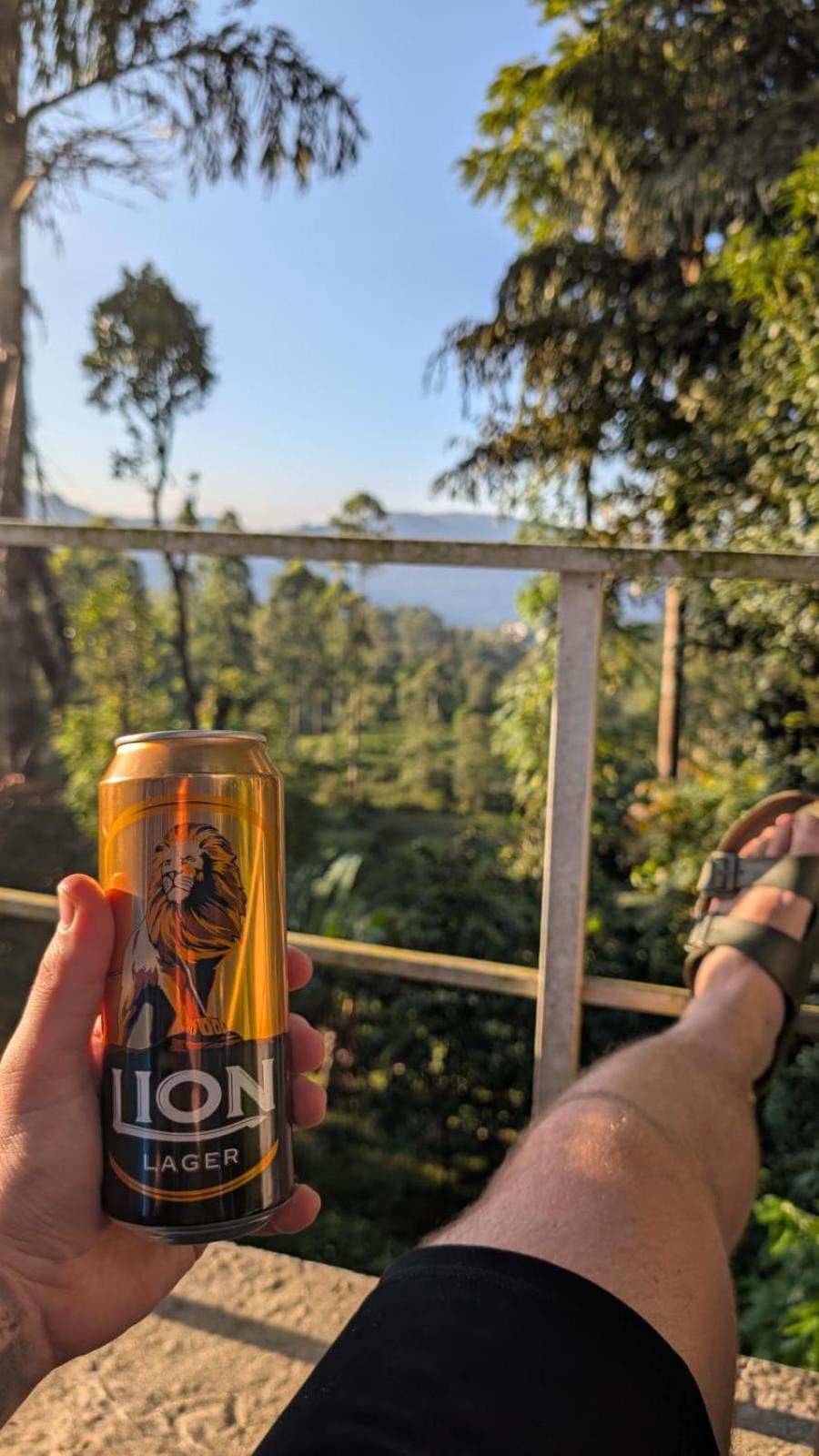 Kithul * Nuwara Eliya