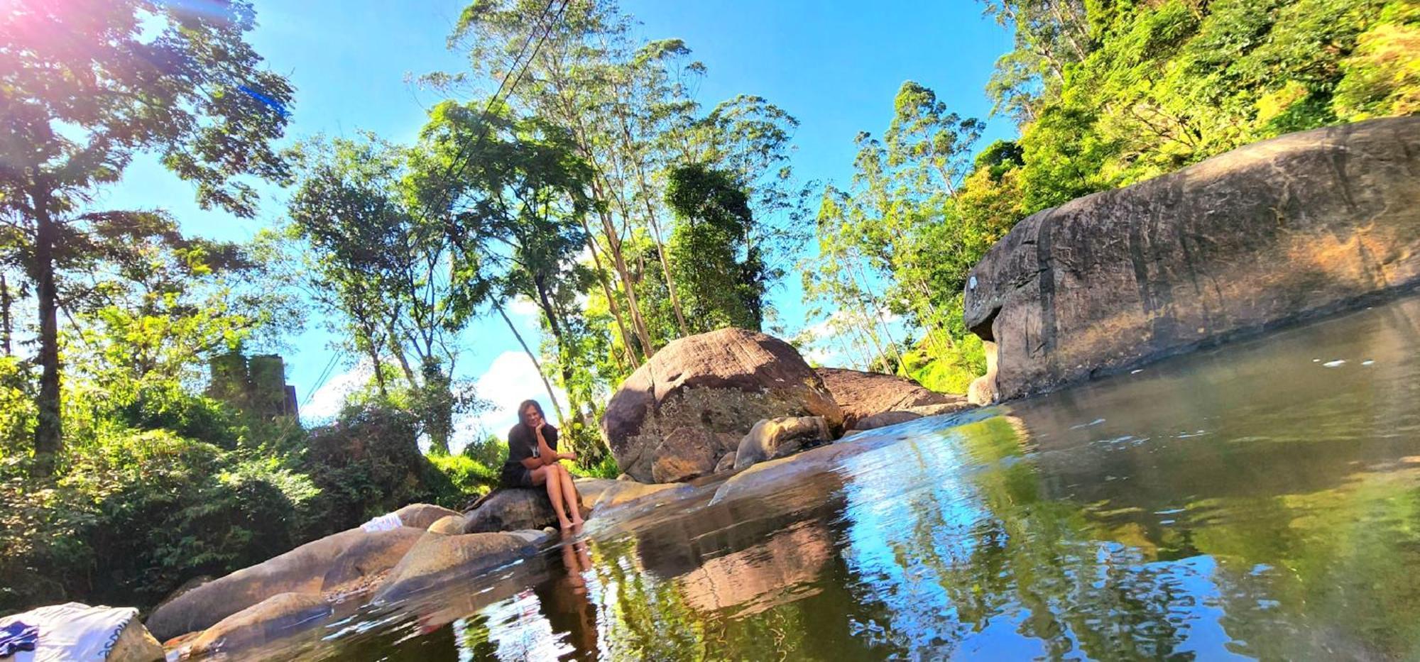 Kithul * Nuwara Eliya