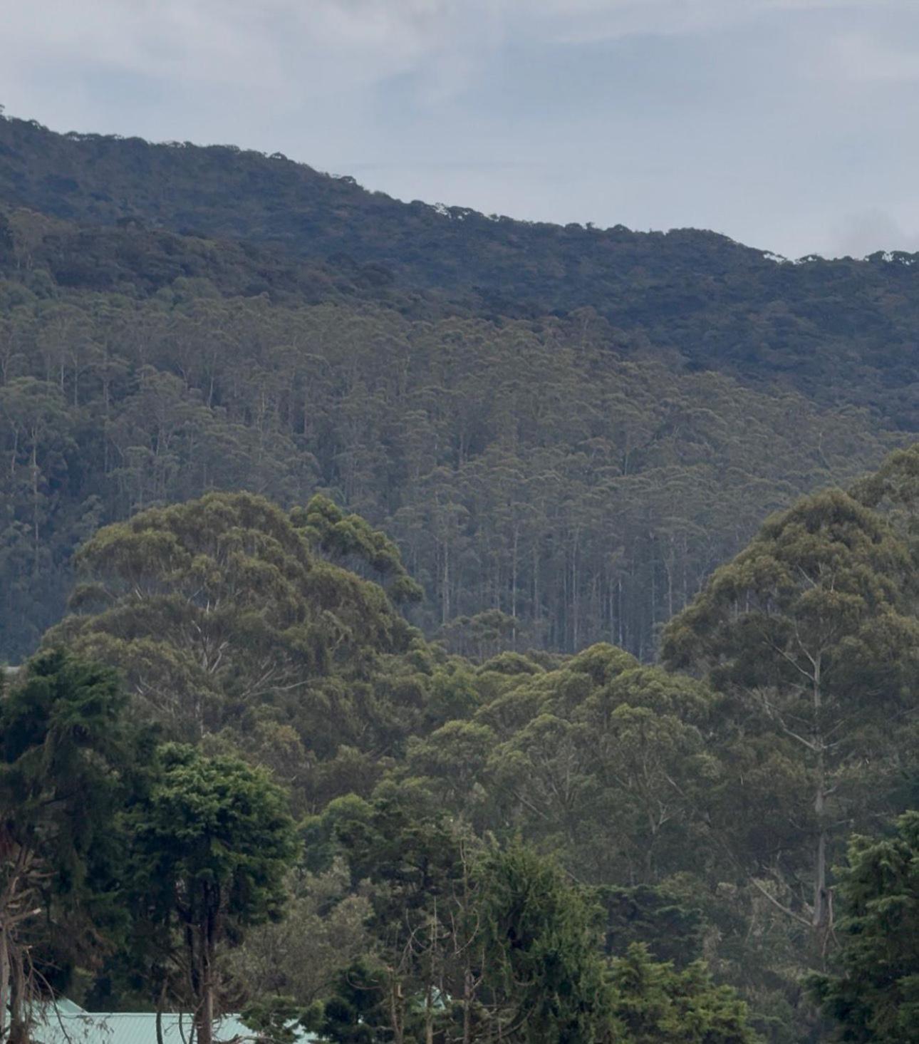 Hotel 88th Nuwara Eliya