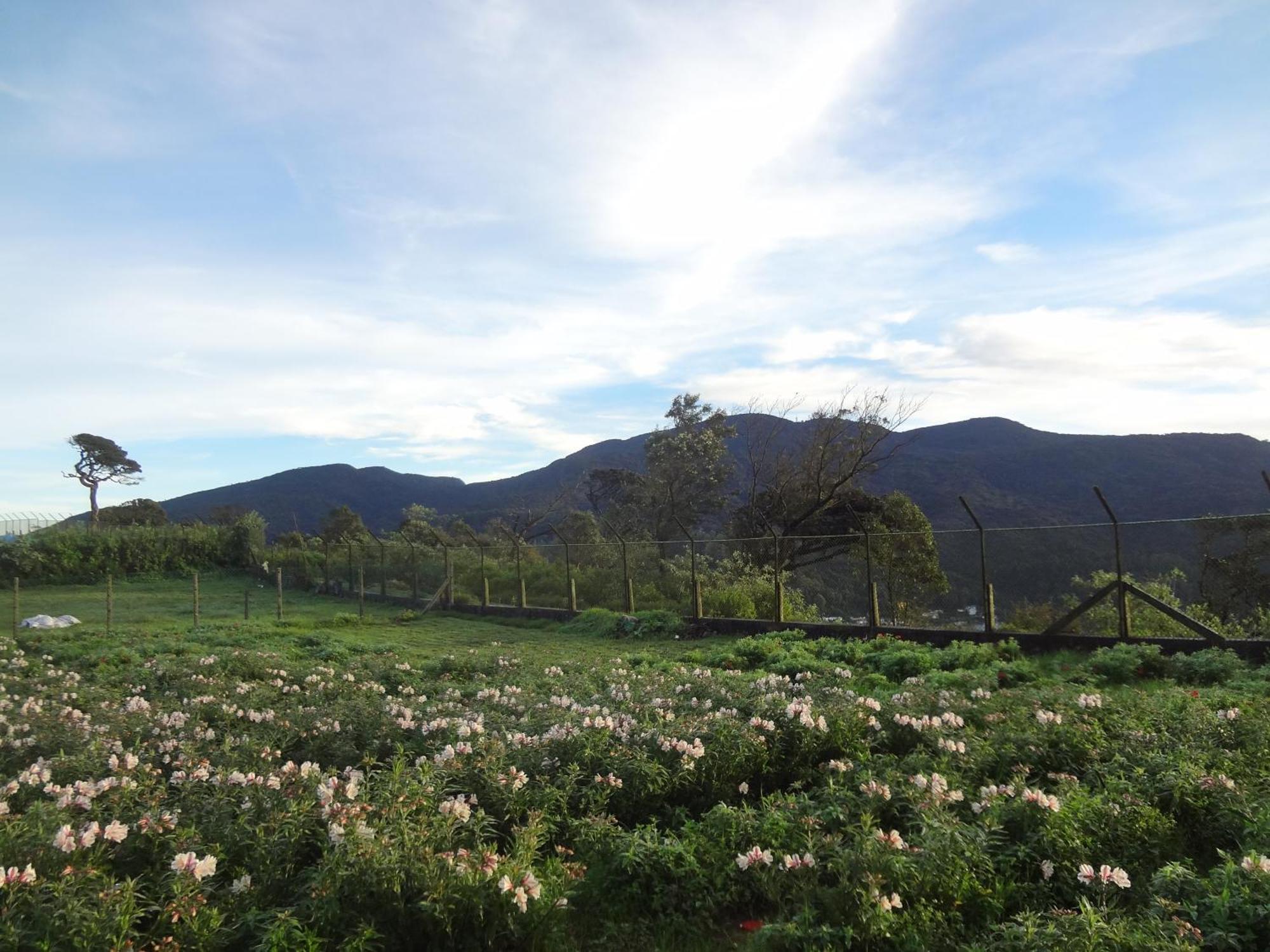Hotel Sky Breeze Nuwara Eliya, Sri Lanka