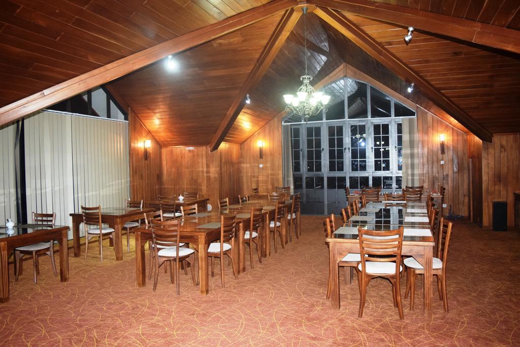 Daffodils Nuwara Eliya