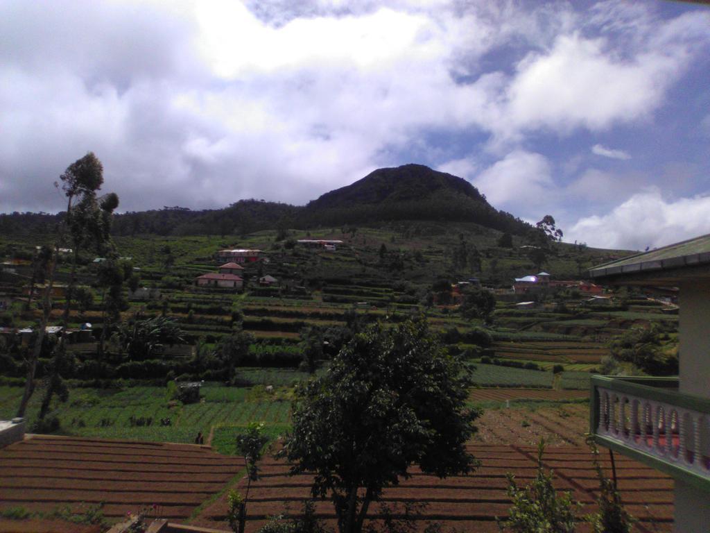 Homestay Avon Field *