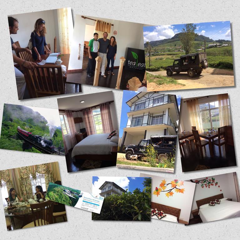 Tealeaf Bed & Breakfast Nuwara Eliya