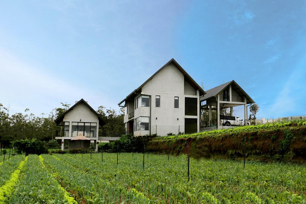 The Fern Cove Guest house