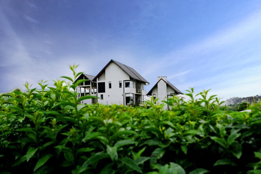 Guest house The Fern Cove Nuwara Eliya