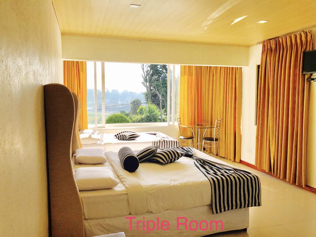 Hotel Single Tree *