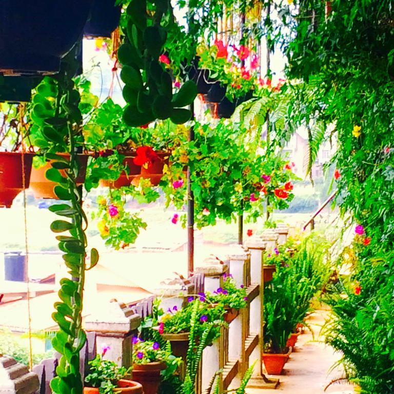 Heidi's Guest house 2*