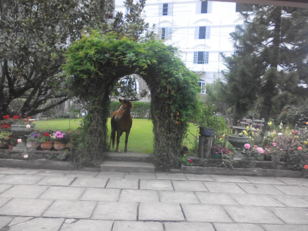 Glenfall Nuwara Eliya