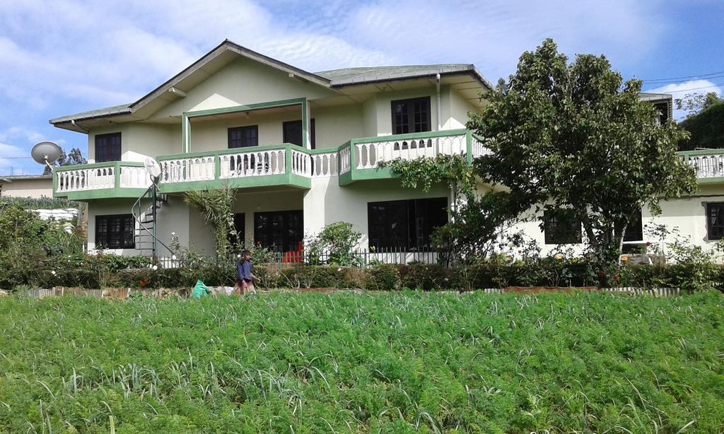 Avon Field Homestay