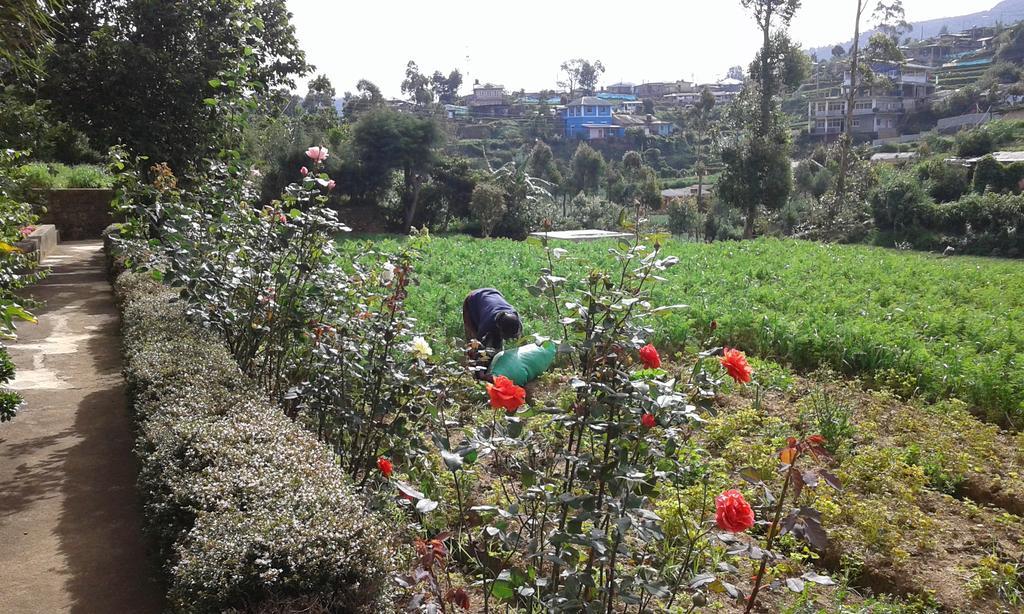 Homestay Avon Field *