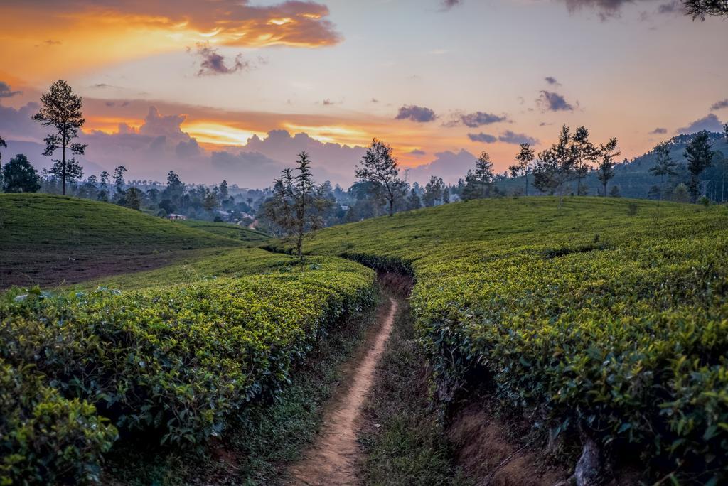 Holiday home Langdale Boutique By Amaya