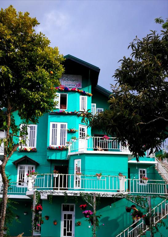 Uyou Ceylon Nuwara Eliya