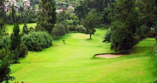 Golf Club 3*