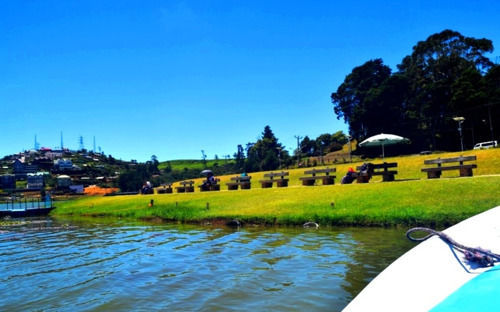 Daffodils Nuwara Eliya