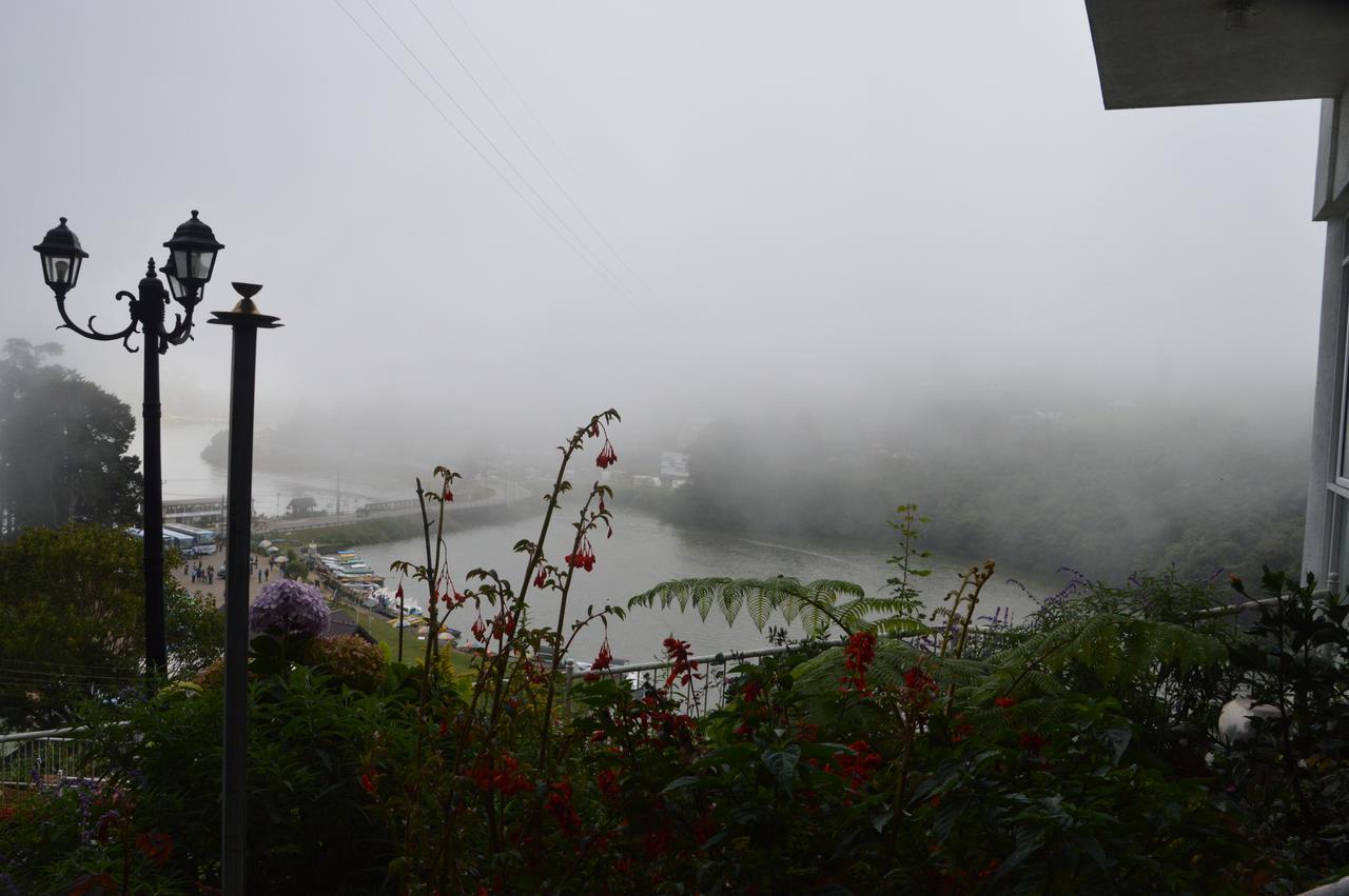 Misty Paradise Of Gregory Bed & Breakfast