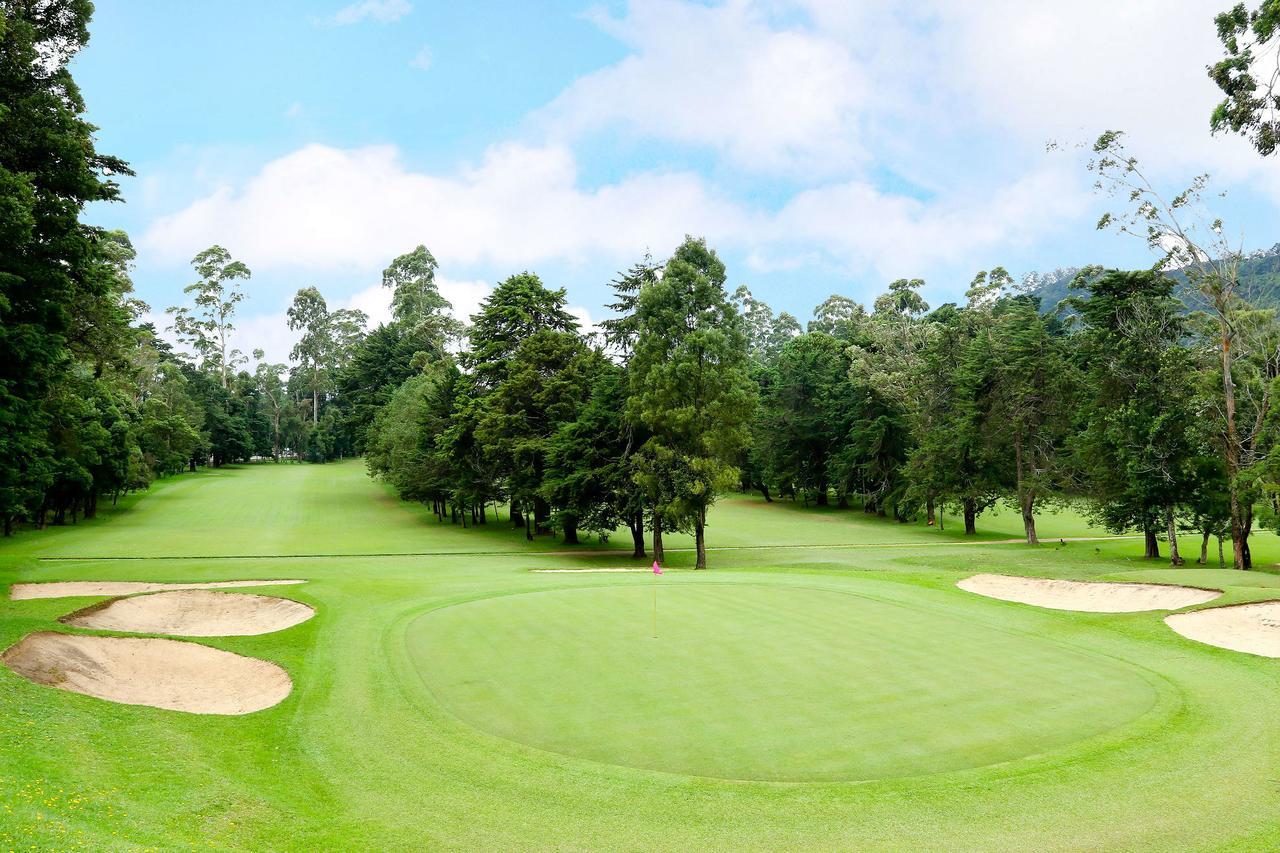 Golf Club 3*