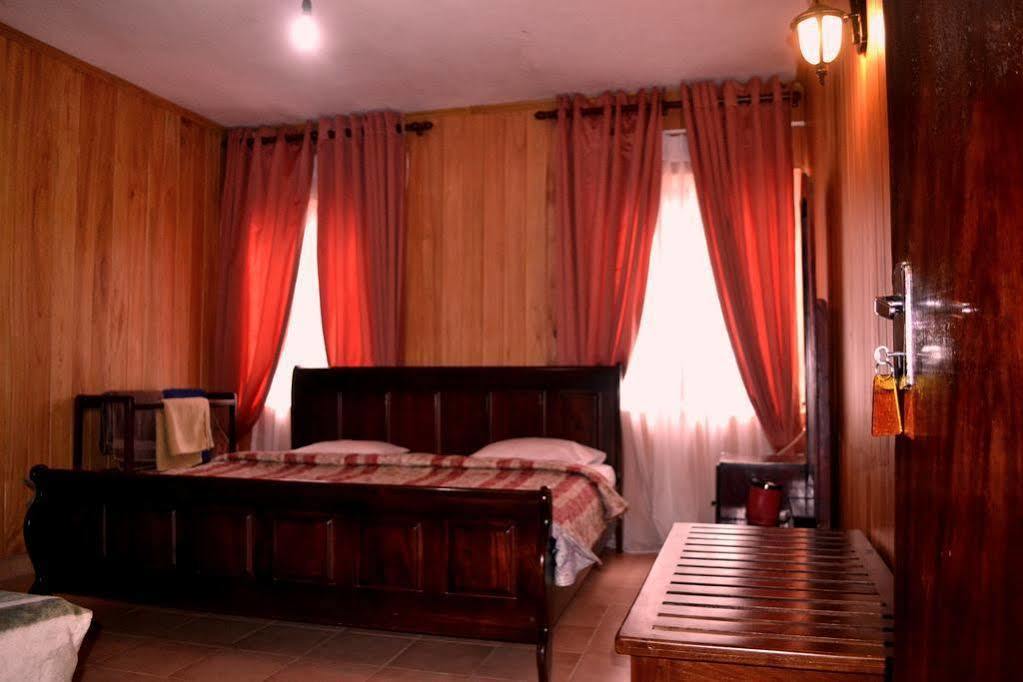 Hotel Single Tree *