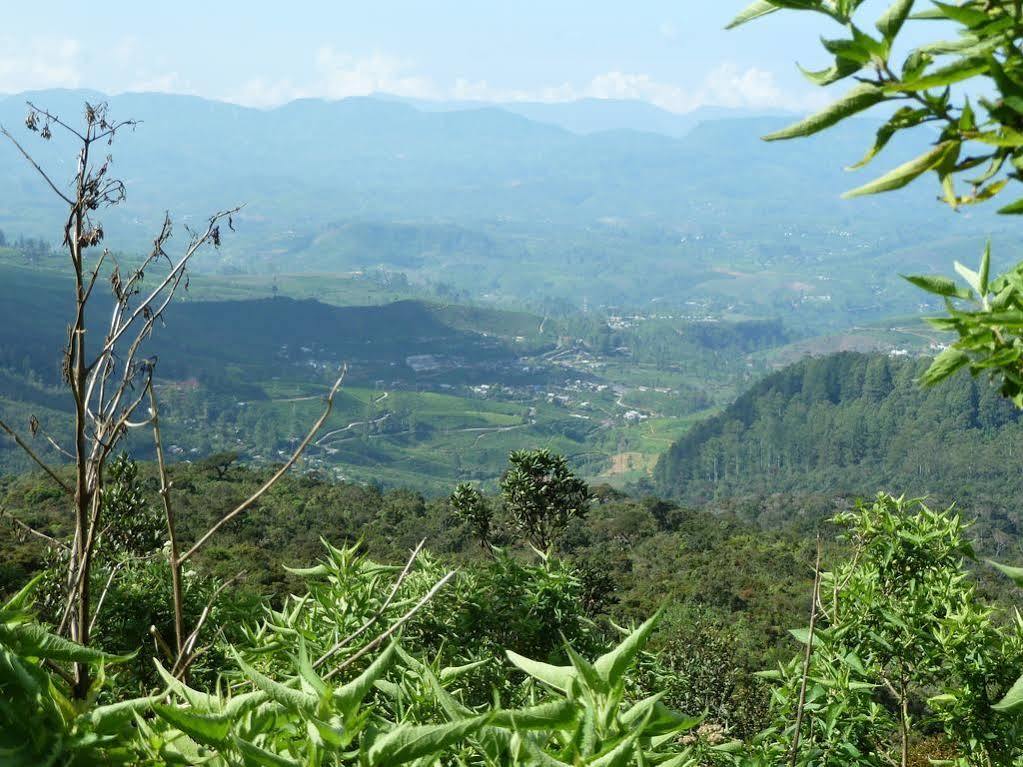 Hotel Single Tree Nuwara Eliya