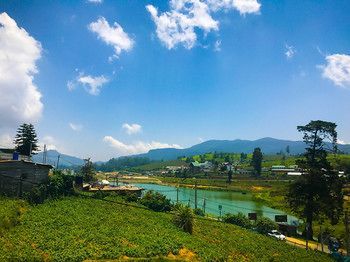 American Star Hotel- Nuwaraeliya Nuwara Eliya