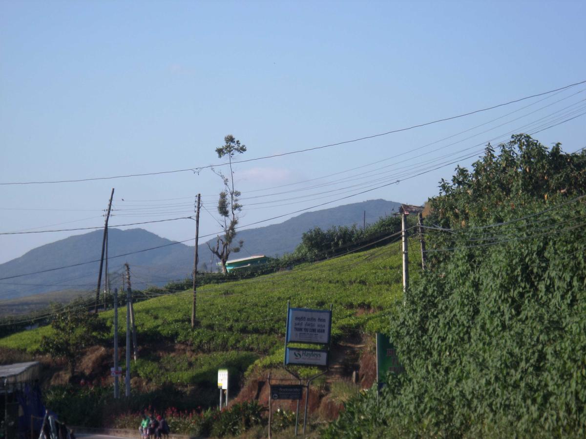 Yoho Vintage Courtyard 2* Nuwara Eliya