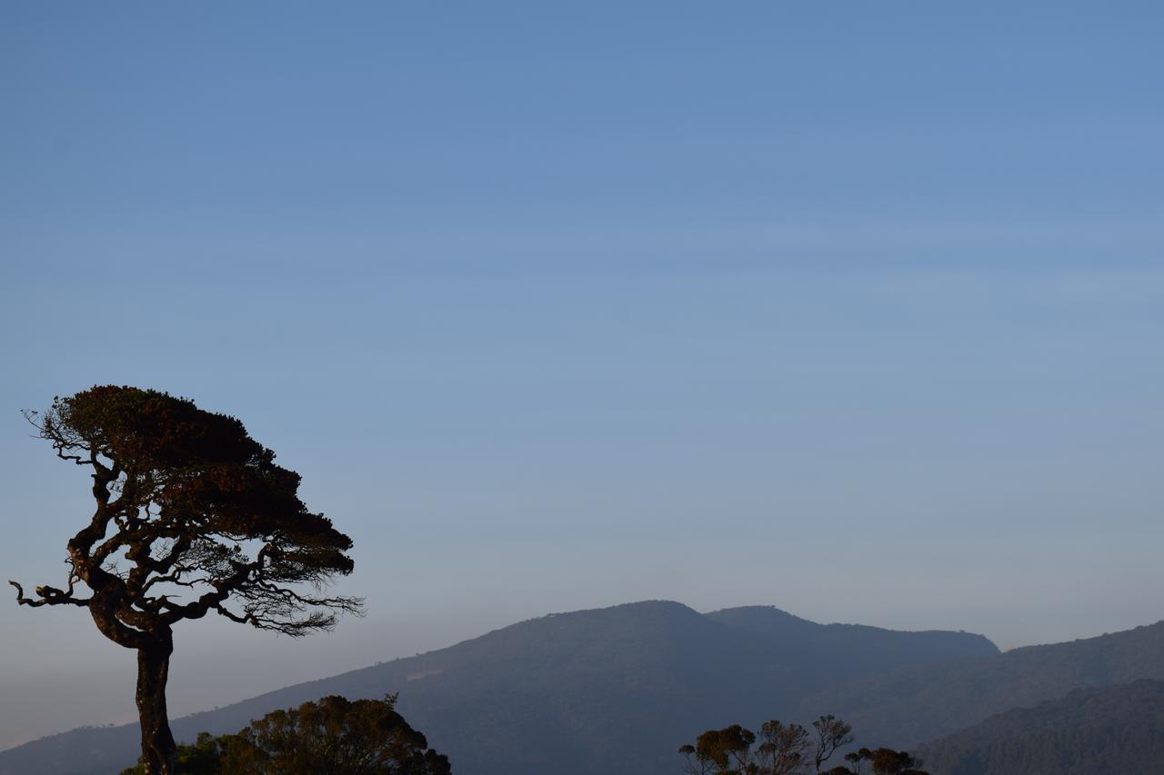 Beraliya * Nuwara Eliya