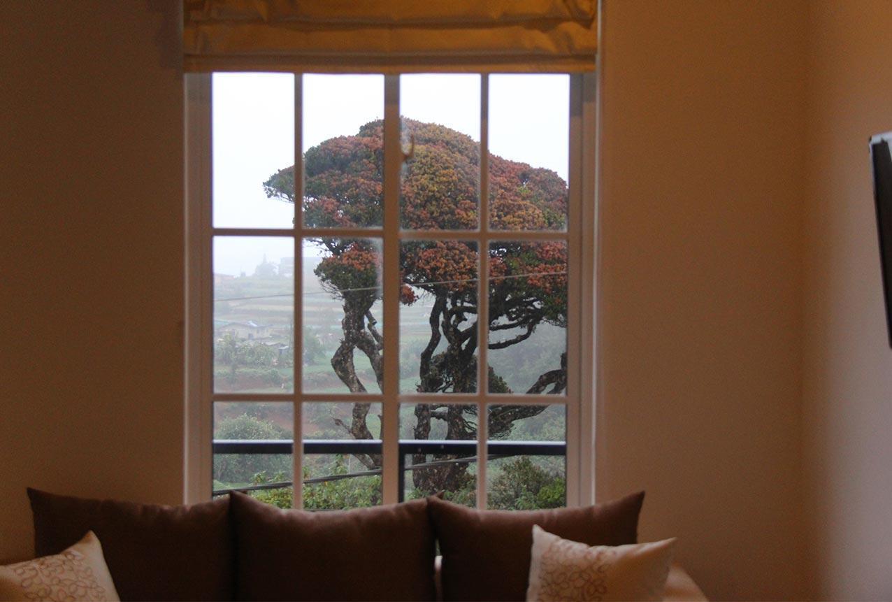 Tranquil * Nuwara Eliya