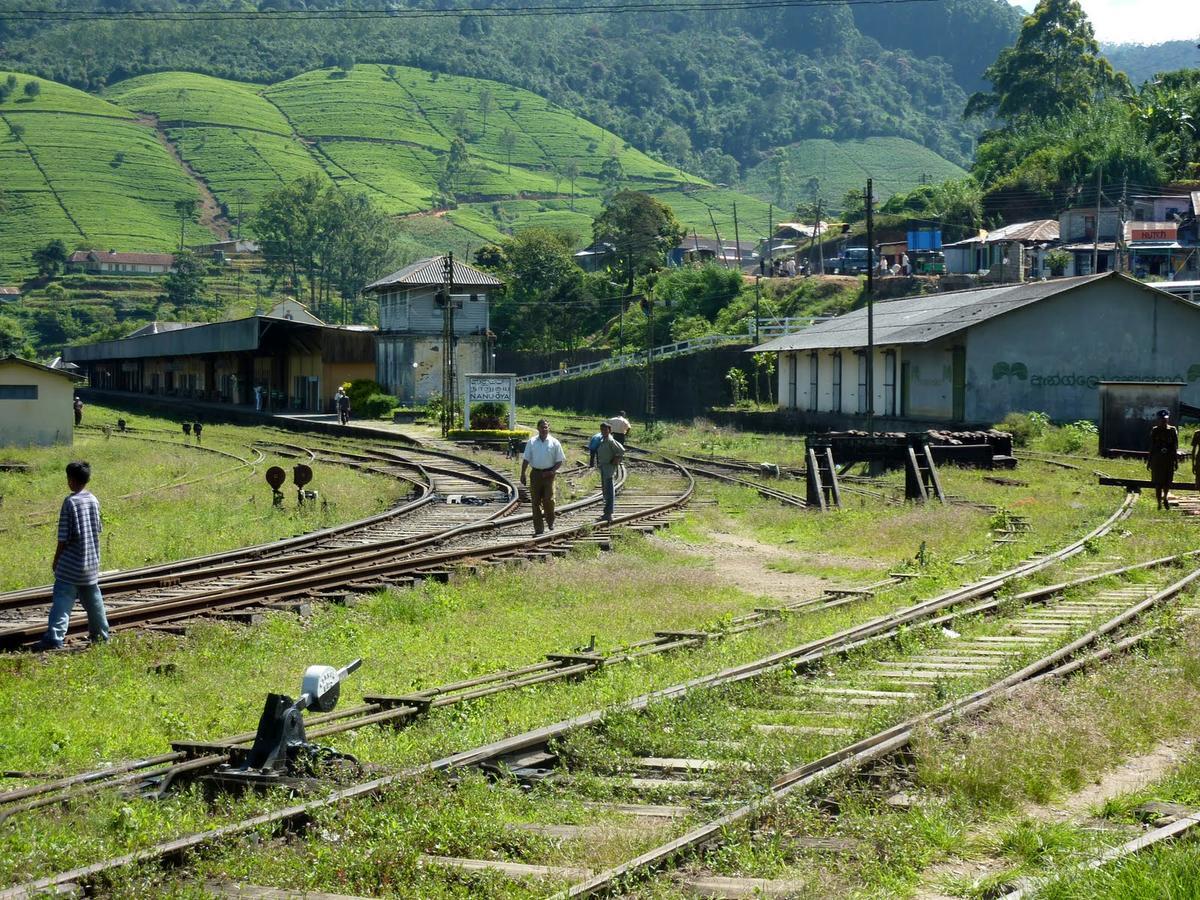 Bed & Breakfast The Train View Nuwara Eliya