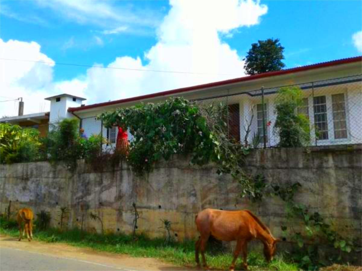 Blackpool 55 Homestay Nuwara Eliya