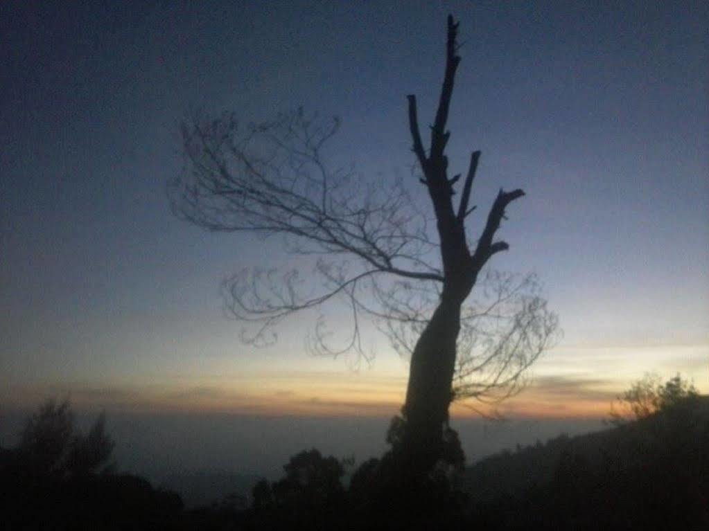 Clouds Meadow Nuwara Eliya