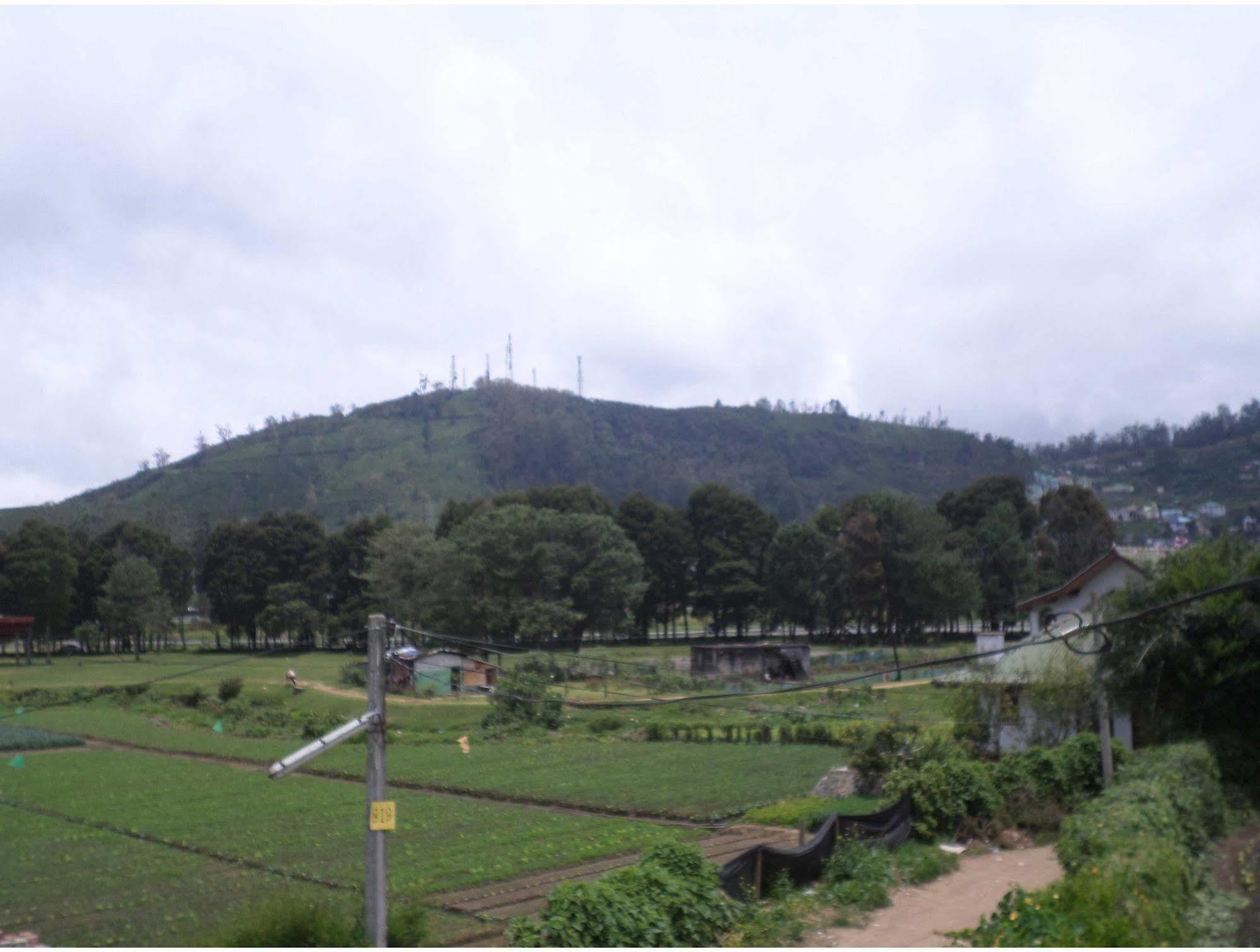 Vista Zanzibar 3* Nuwara Eliya