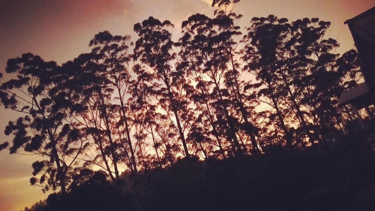 Hotel Panorama View 3*