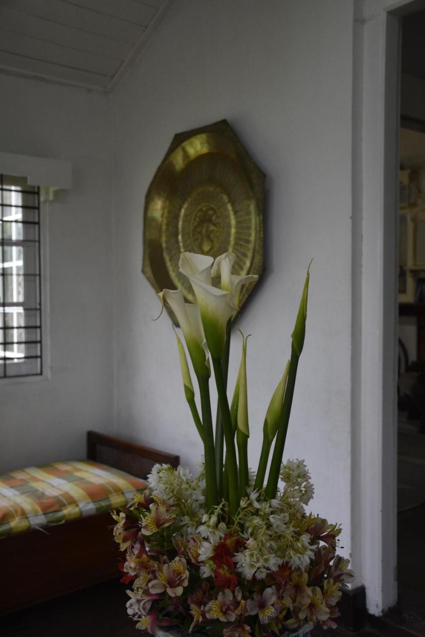 Shirin1892 Country house *