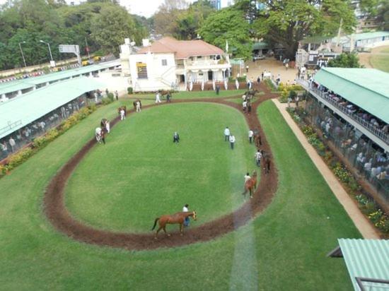 Shinic * Nuwara Eliya