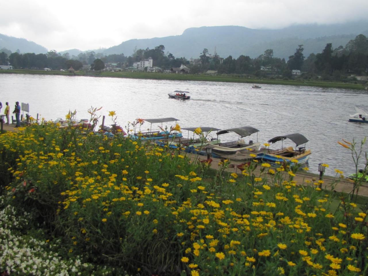 Shinic Nuwara Eliya