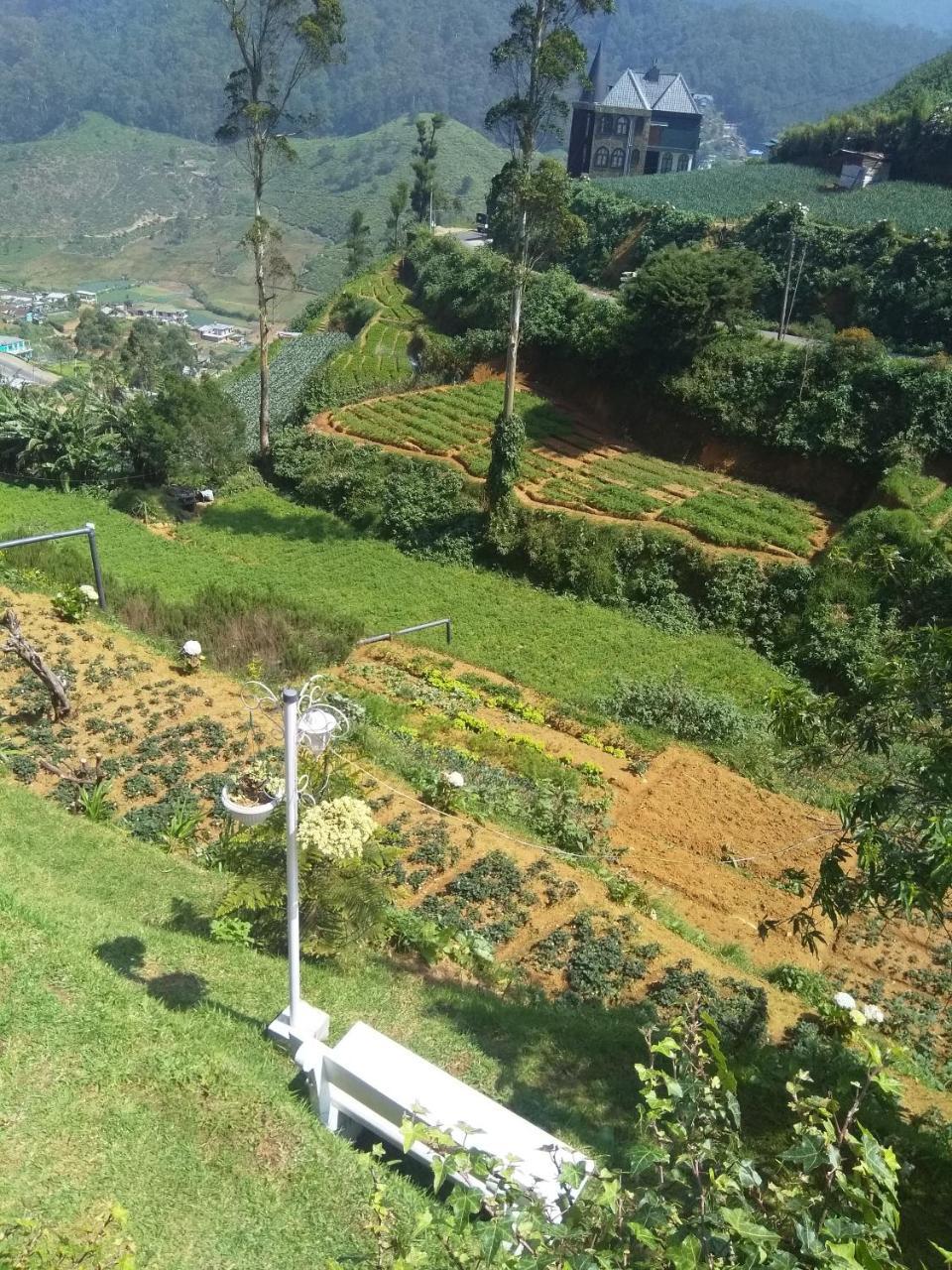 Lodge The Farmhouse Nuwaraeliya