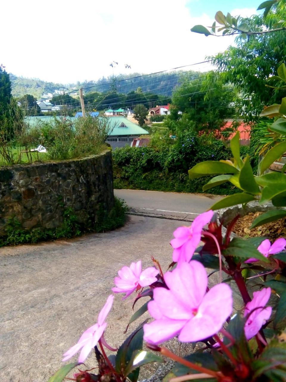 Mountain View * Nuwara Eliya
