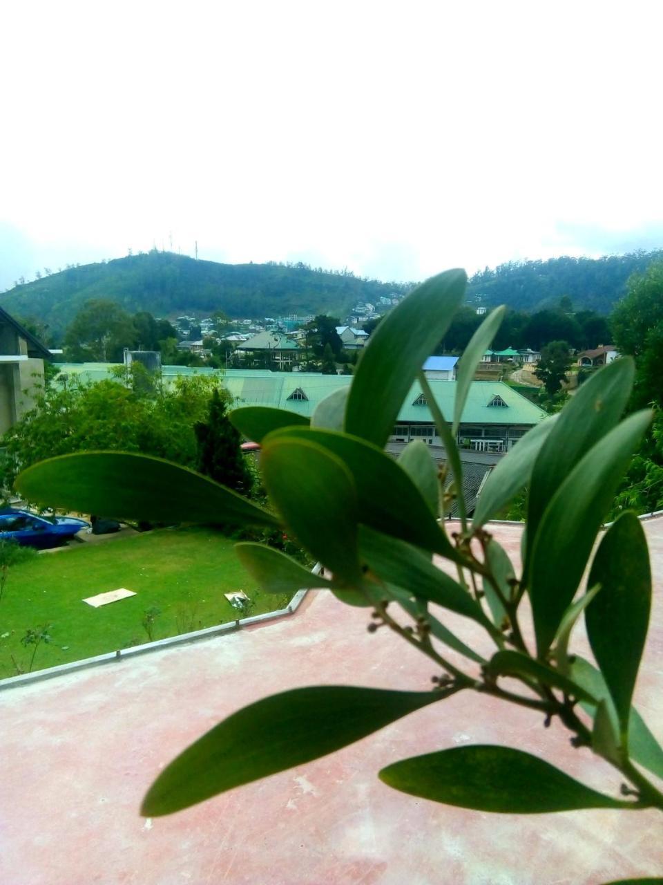 Mountain View Homestay