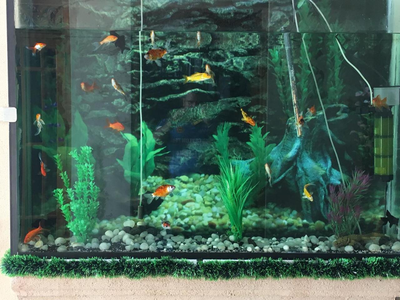 Little England Guest house Nuwara Eliya