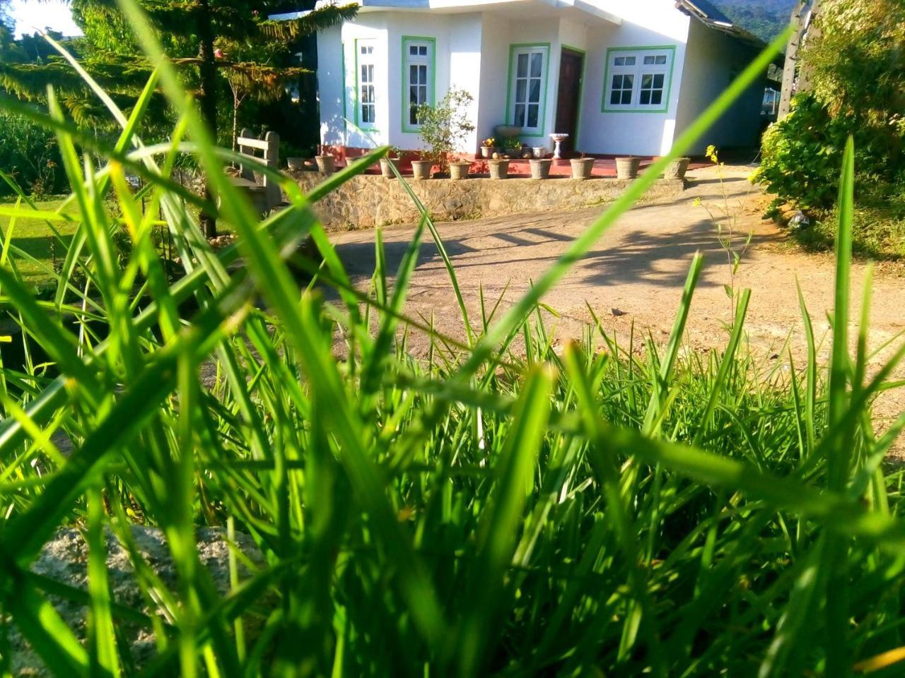 Homestay Mountain View *