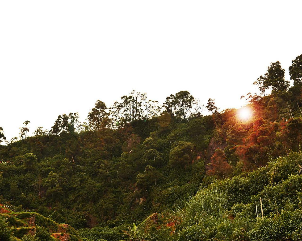 Hotel Glenfalls Rest Nuwara Eliya