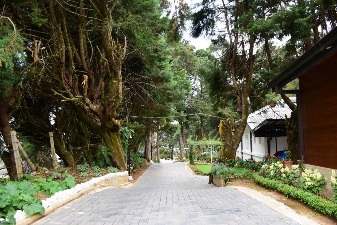 Mirage Kings Nuwara Eliya