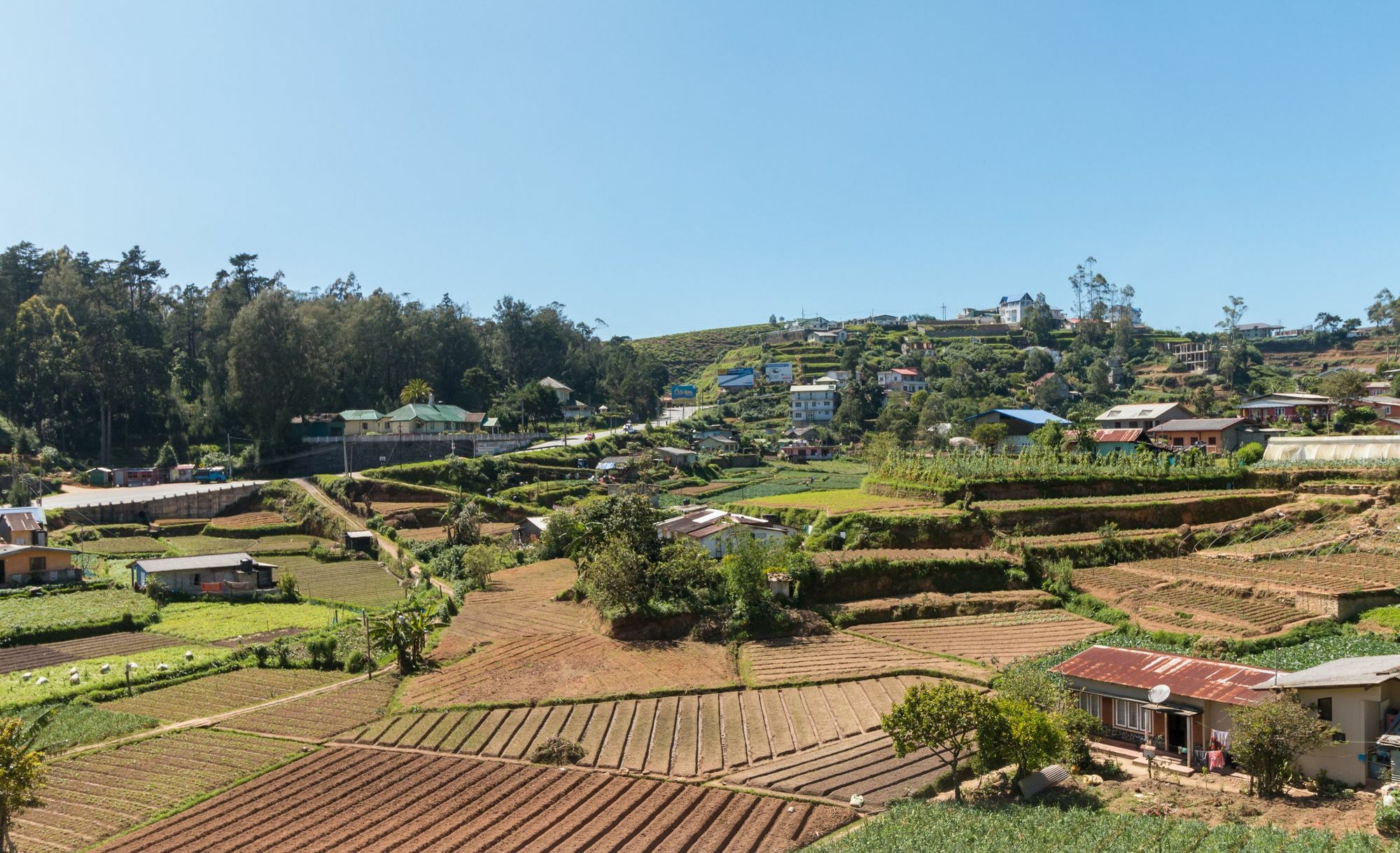 Aaradhya Hotel Nuwara Eliya